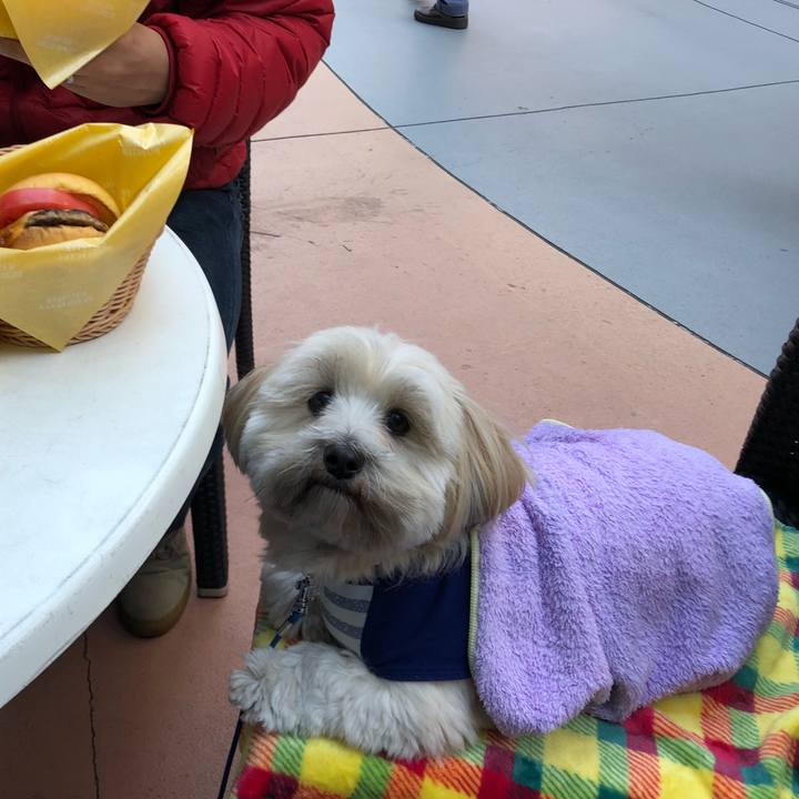 E65d9eaf 49fb 4743 865e e1eba24d231e 1512892970578