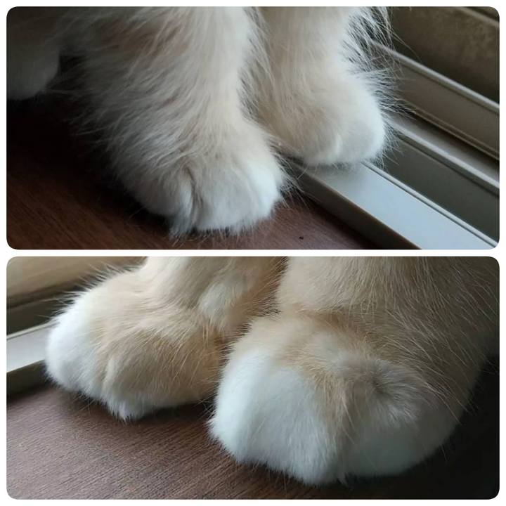 E65da877 49ad 4258 9dac 39db604bc13b 1634121997714