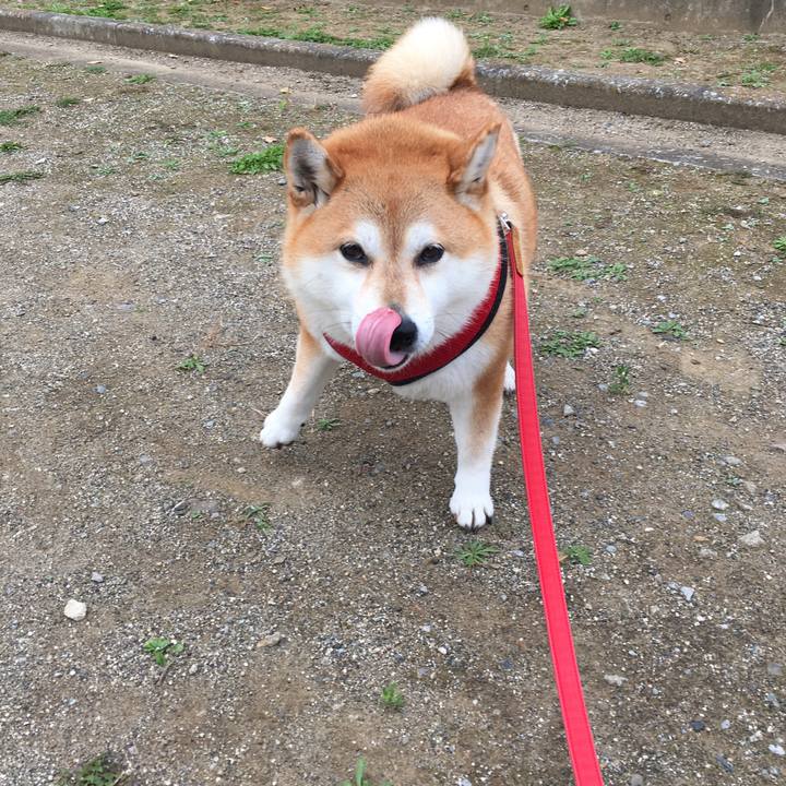 E65dbc68 e709 4e97 afc5 4c2b3aa6cfd0 1607749923884