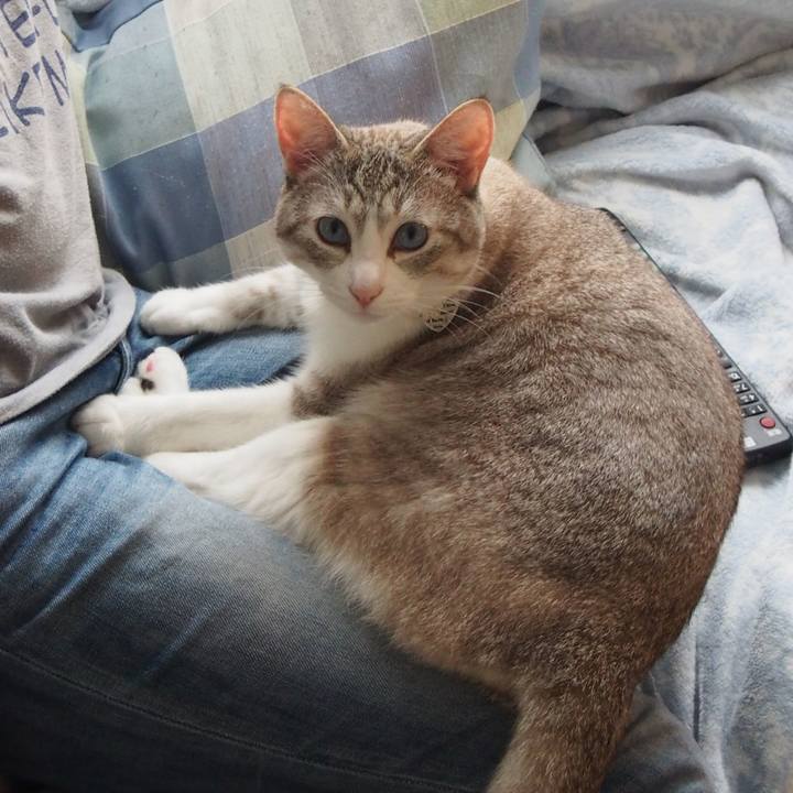 E65dc5b8 90e3 46ee a4aa 619a0c1c5e06 1563003317084