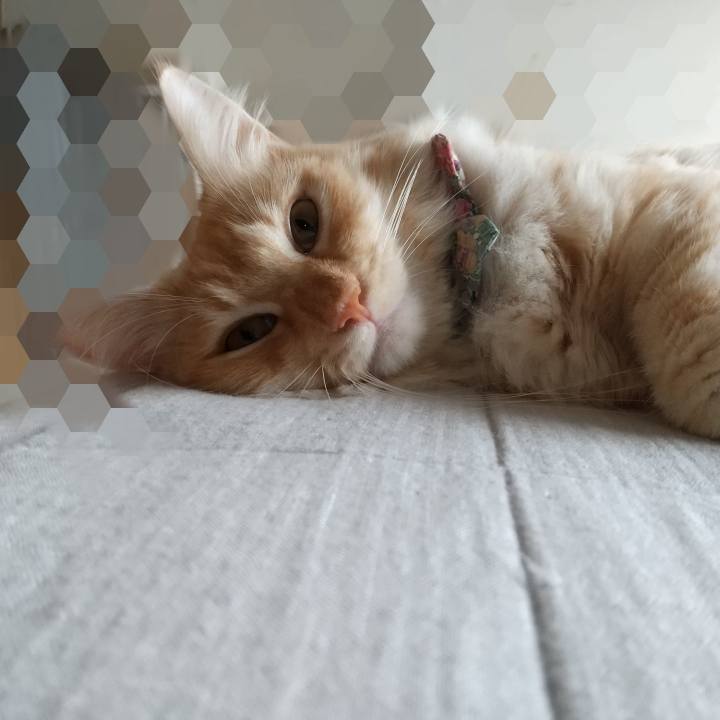 E65e6518 b11b 49e2 876a d67f3393ef3c 1631927418601