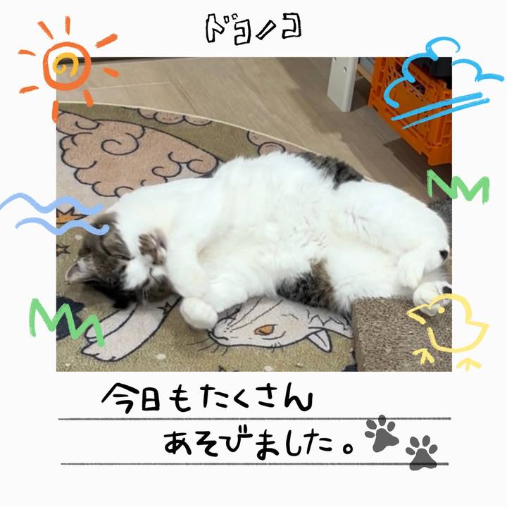 E65e6610 c2fc 447c a445 0d3ce453bd34 1755145623348