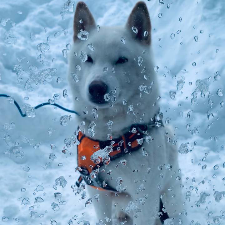 E65e739d 9b01 4878 ac3f a6f48c95775d 1690349264014