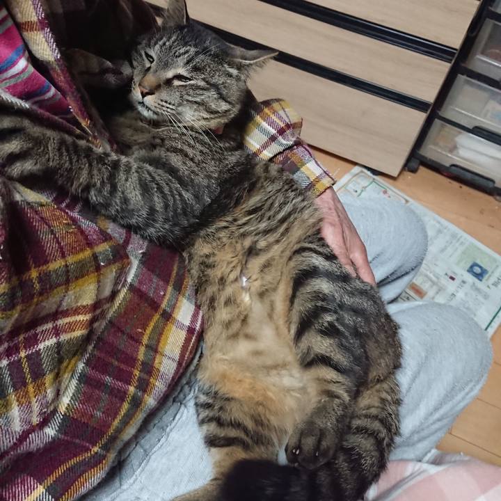 E65e9cbd 8839 48d4 a417 8fec97faa27c 1652326183011