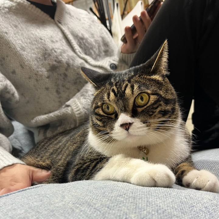 E65eb79f ed78 4592 a03e 478668804053 1776035636045