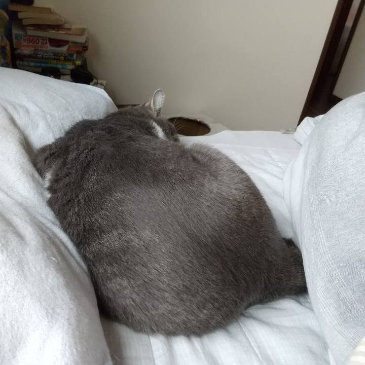 E65ef6ff 093d 43e4 9ac1 2b13be9c2aca 1636249189038