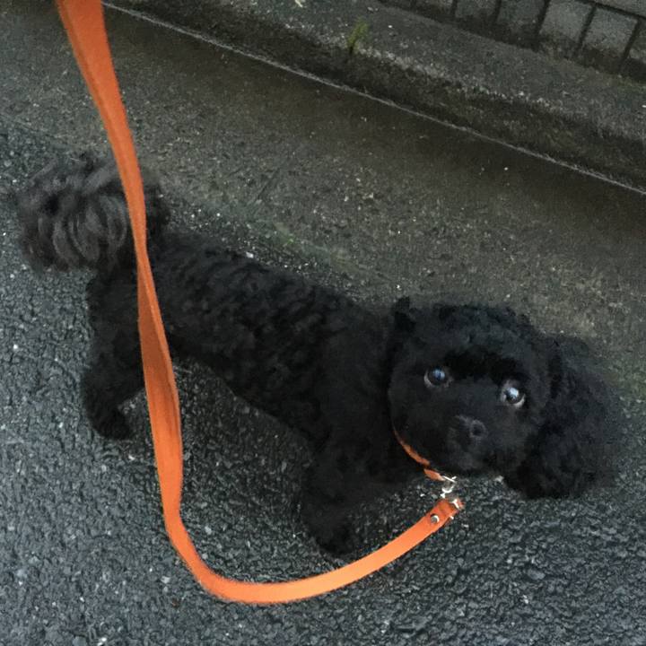 E65f47a4 2247 4e85 8ae7 a9a6193f96ab 1532827448261