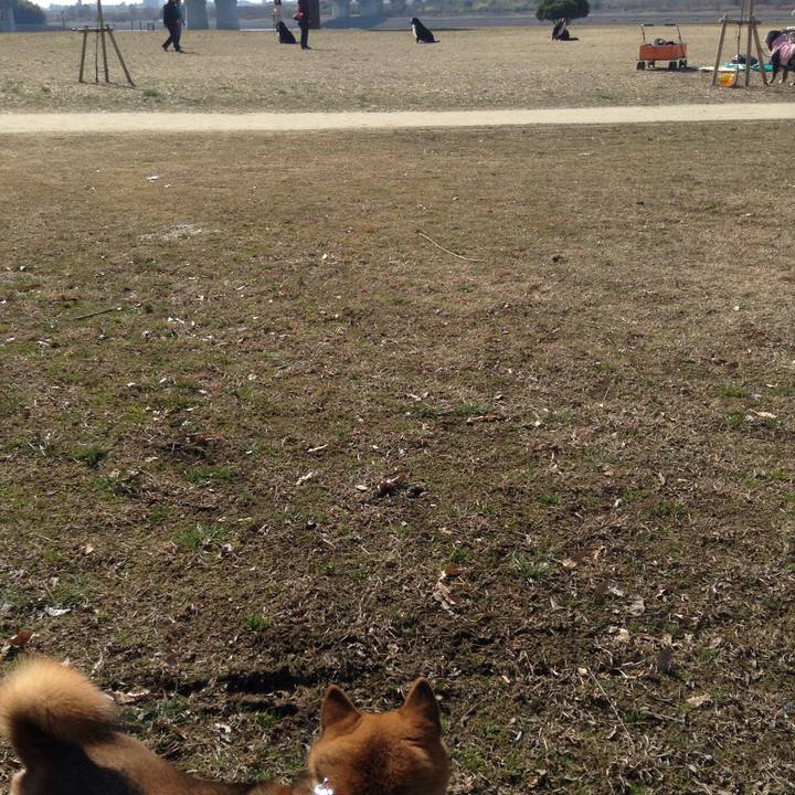 E65fc2bc d03f 4667 89b9 8d63b803e175 1519101261556