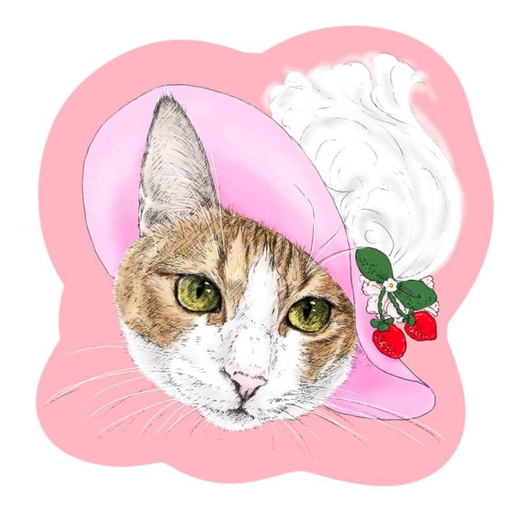 E65feab4 3850 4412 8b16 14837a1c0f71 1589811217232