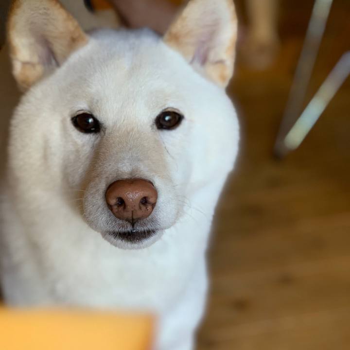 E65ffce2 d653 4ff6 a47b d5bd51607c94 1558048395390