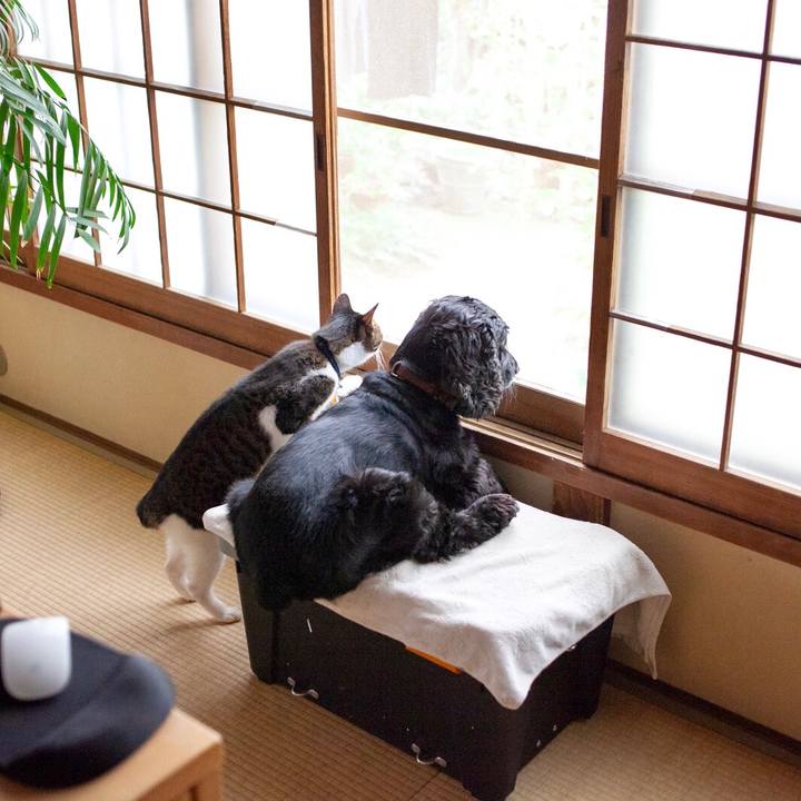 E66005d1 2a05 486f 945f 633f688a351a 1602392289937