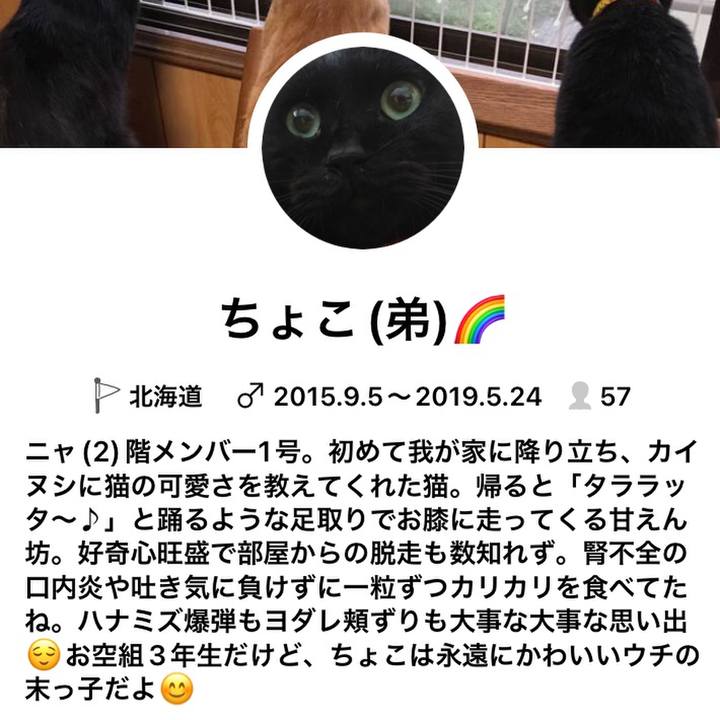 E6604ba9 eb23 4a1a 8ee5 387ca60d4ed1 1701419594144