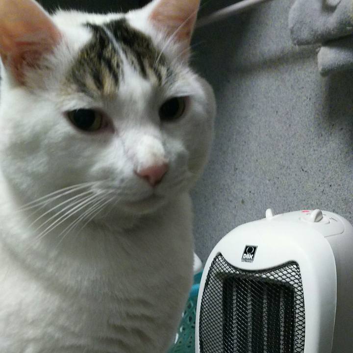 E6606f7e cda1 47e8 b75f 84dbe5b06a47 1511258987771