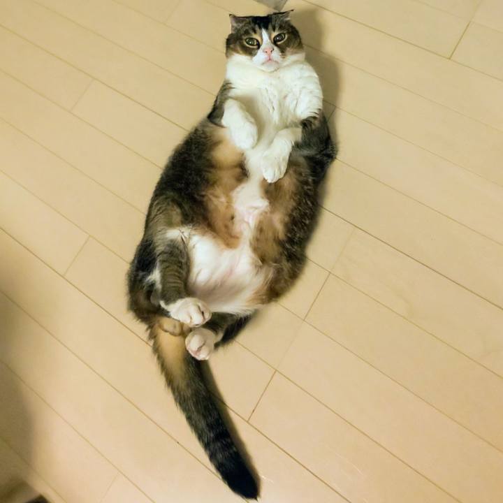 E6607b8b 35ce 4f48 80d5 18773f25625d 1748701882907