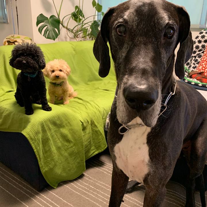 E6608ab2 5ae9 4c71 a9ed 8de15c6173dd 1563316674225