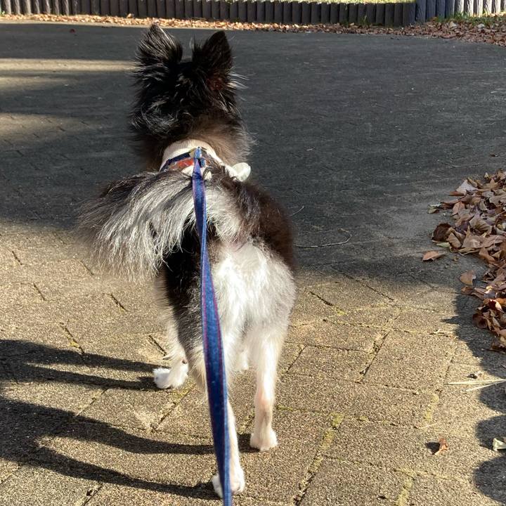 E6608c62 780b 479a b5a5 f326d55ac500 1702093489622