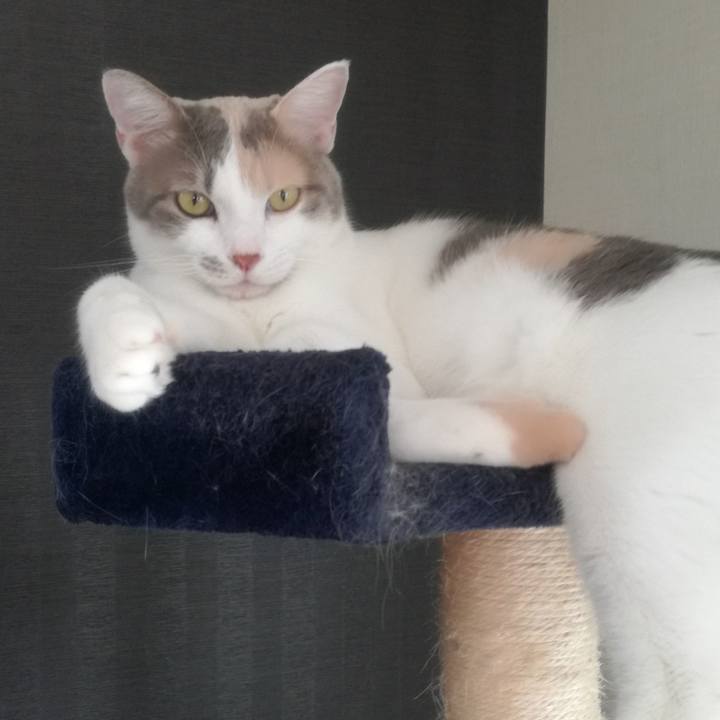 E660aa55 e16a 469a bbf8 d3becd49c799 1534906156227