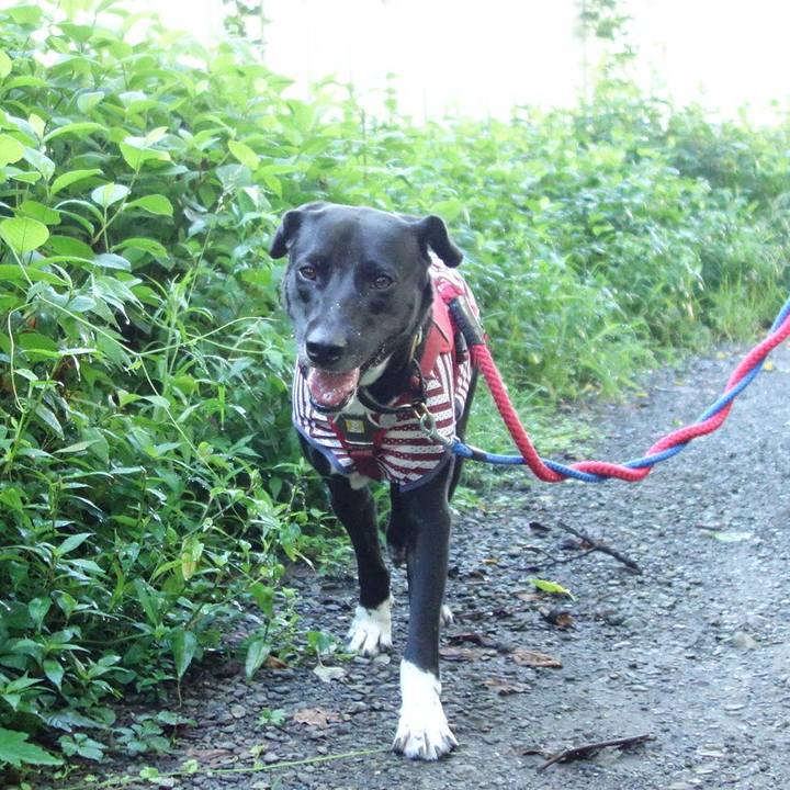 E660bd4d a604 4b5b a96d c20000627db1 1596239398946