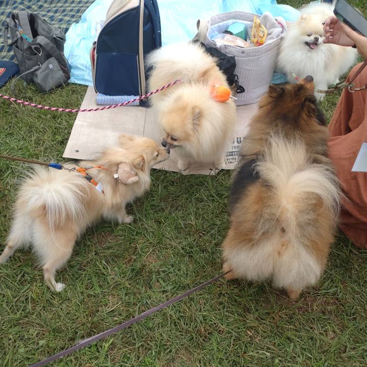 E6611508 2b6e 4900 8d37 d0a12bfd2f56 1760350147658