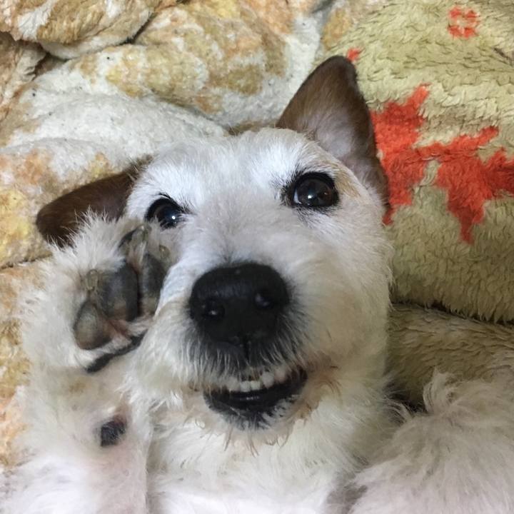 E66135d8 bc4d 4234 9c44 2ac6b044e2ea 1587867852904