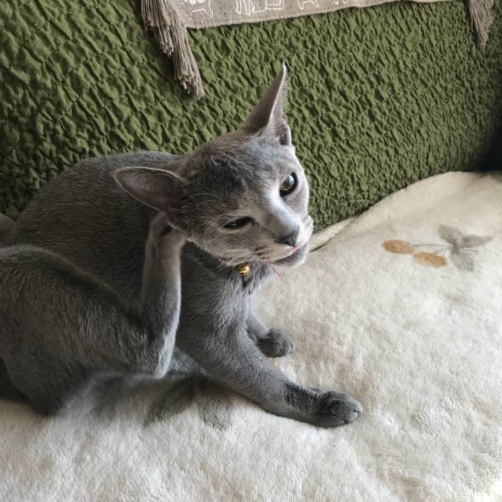 E6613879 8321 4848 9c18 01affff87fb4 1512186008246