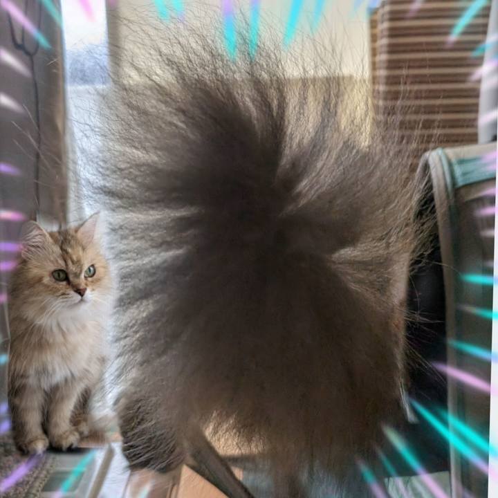 E66147e1 b630 4c71 8349 e63086da559a 1718670970681