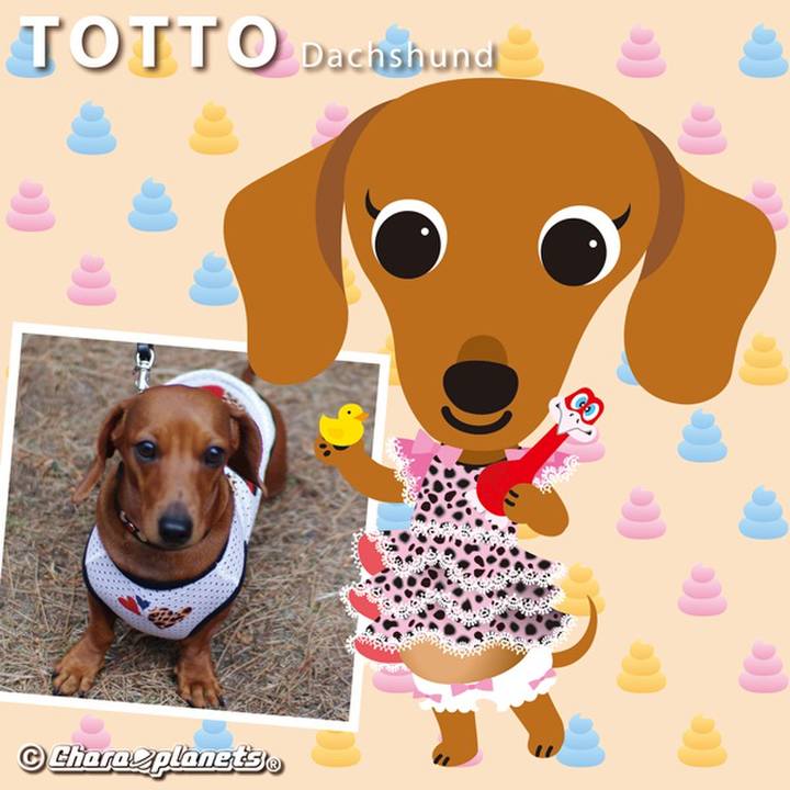 E6616915 a8e9 4ae8 a49d 732590f937f0 1564361606844