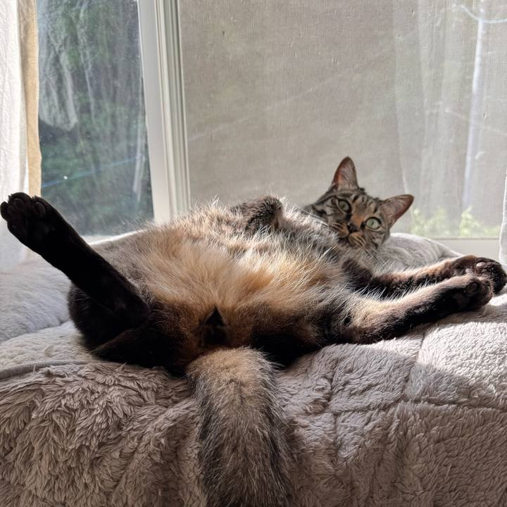 E6617105 ee82 4059 95a8 a87abc1dd264 1745897867505