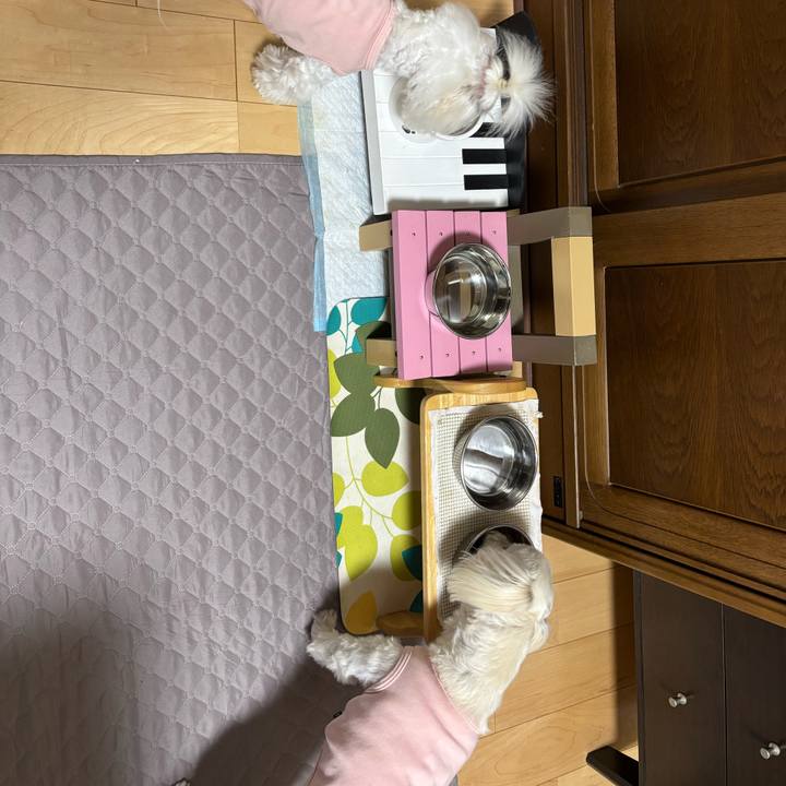 E6617b88 462d 4fa5 88db 917e61b5ecee 1747397124534