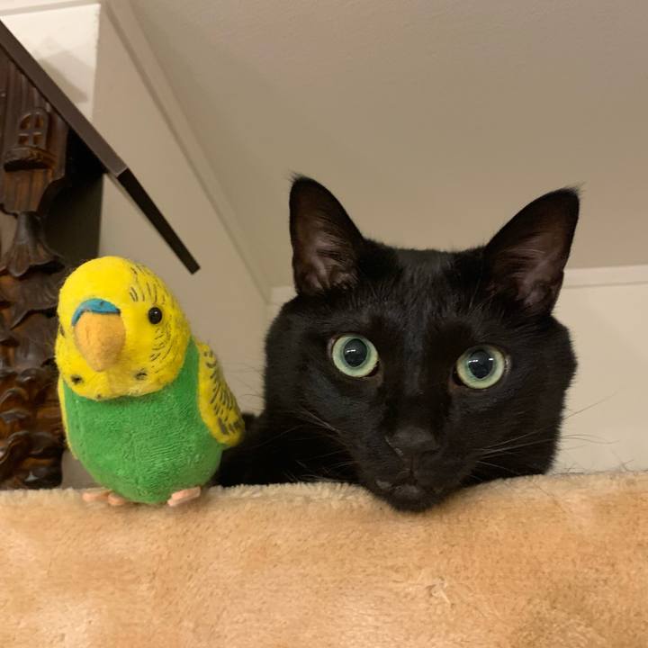 E66193e8 1cb9 4fec 9b58 44684a471727 1659021269860