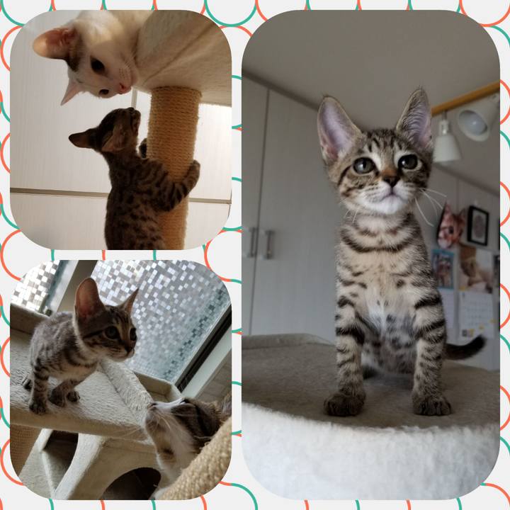 E6619fba 7bd4 46a1 be6d 1f8161ac76ab 1536732946072