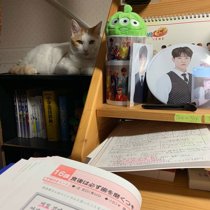 E661b5cf d9fa 46d2 b759 e6274c666a93 1566640155461