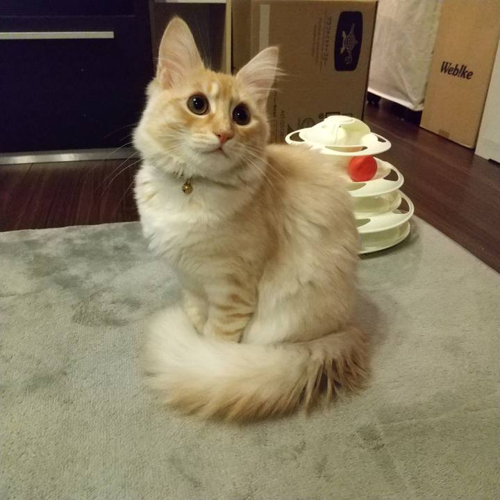 E661bbd8 f672 4794 b1a7 f841de615710 1611611262312