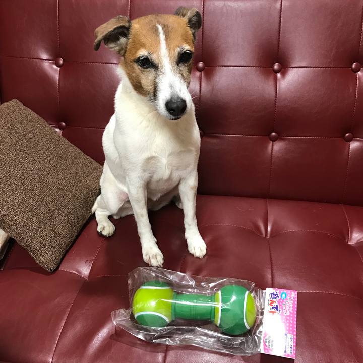 E661cbc3 51dc 49fa aaad a71c266482f7 1527683081648