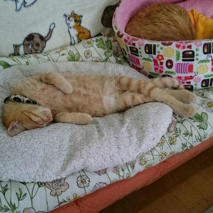 E661ec5d 3de9 4e03 a16d 4f58531ccf5f 1544247861582