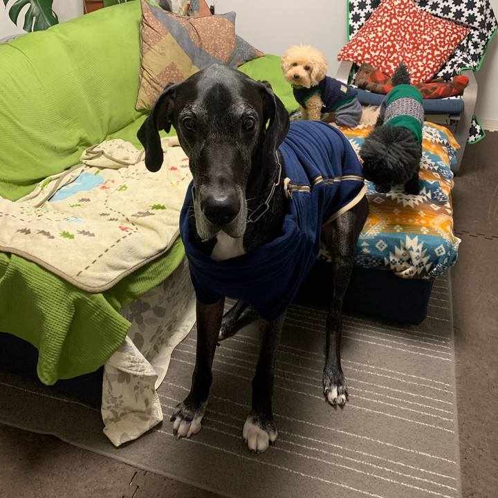 E66205d7 d1bb 4434 b5fb 423f82144185 1574721582987