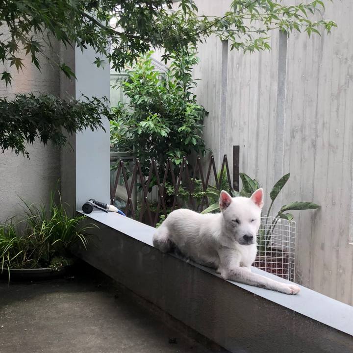 E66227e1 7c05 4a30 9957 f2325d605153 1537529258659