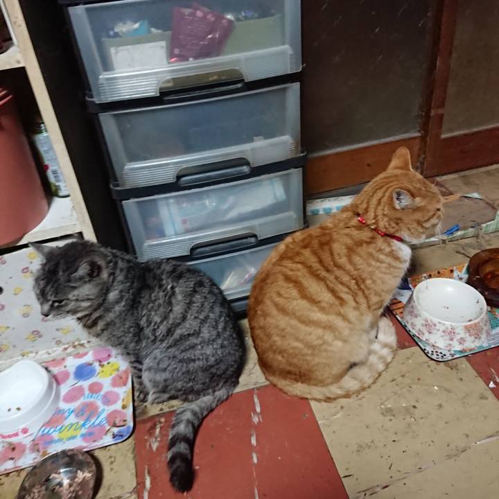 E6625091 1c49 455a 9e0e 68971e81f1e2 1577090523610