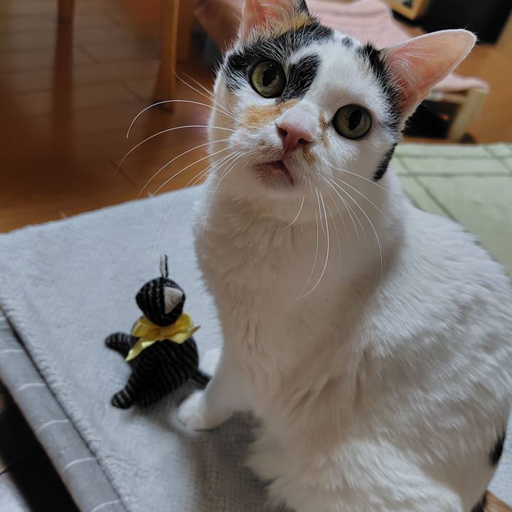 E662f532 abe6 4746 afeb bb3e3f680d01 1738325967247