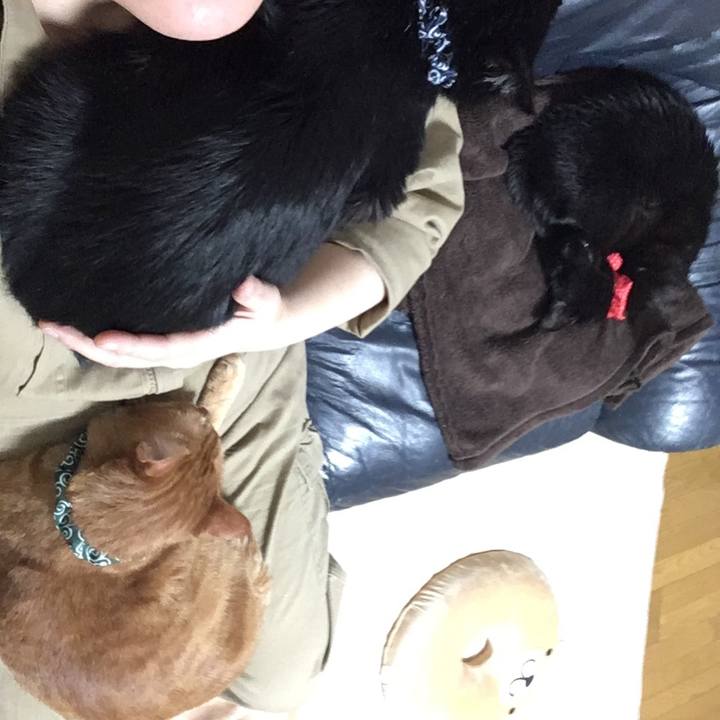 E66320e4 fb03 421f ac4c b5c92aebda9b 1546866527064