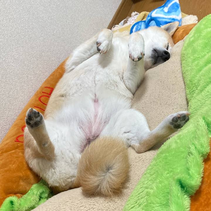 E66331ca 6ff0 4cf3 b225 217e33da5c42 1620198517633