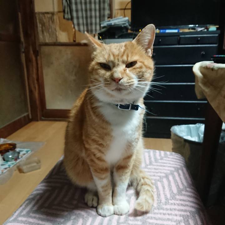 E6636a6e 55db 4036 b023 b42dec5d92f7 1605296300214