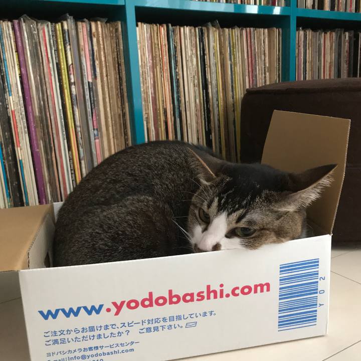 E6638891 00eb 436e 9b4c 4e0dde05e6a5 1591960107983