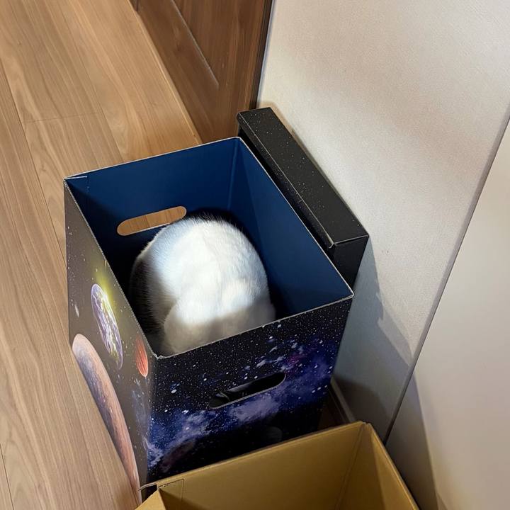 E66398f6 83eb 4dc7 849e 8978c2ac8b45 1771384018102