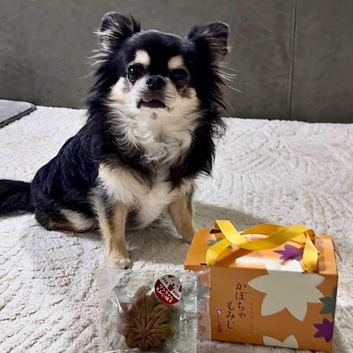 E663ad57 7781 4547 886e 895cf74b5651 1759314580388