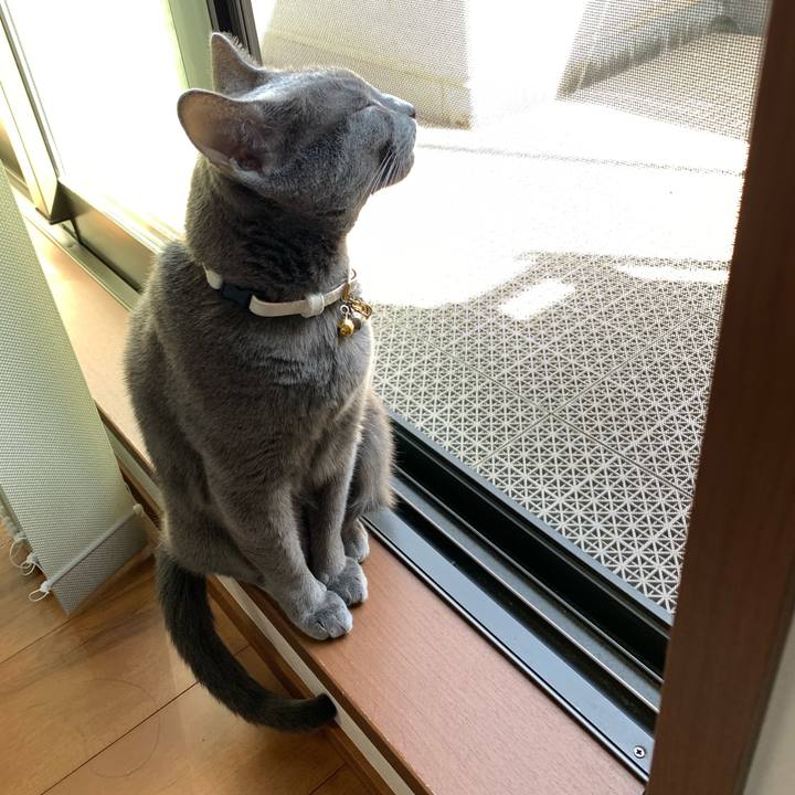 E6640d98 1983 43af aa3e c61be05d78b4 1647321033980