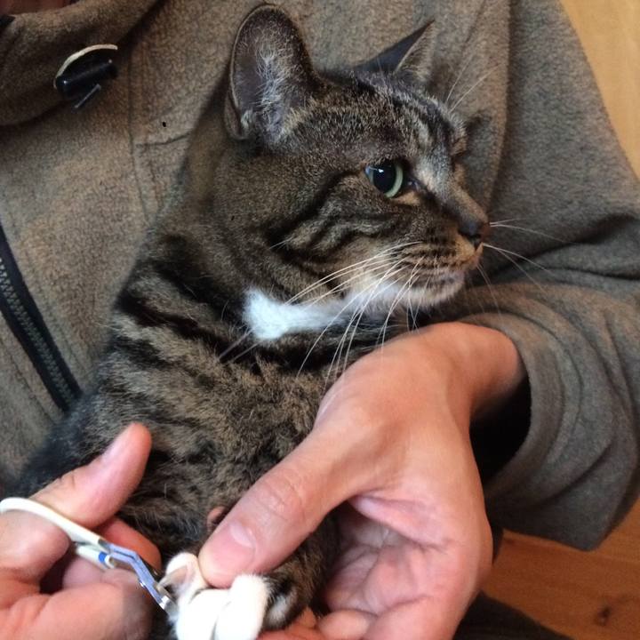 E6641217 03e8 4ad9 a085 e068a62d862d 1511047748923