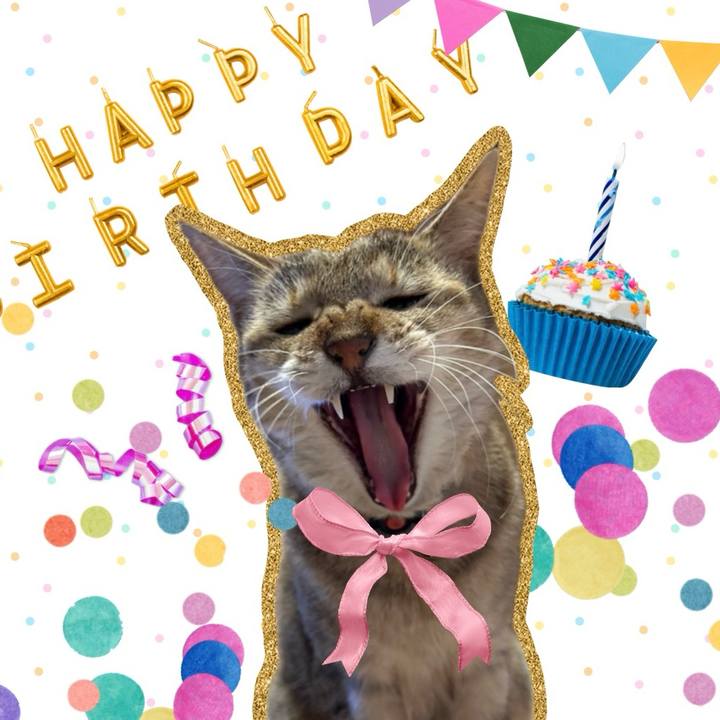 E66451c3 fe73 43b7 a06b 452c84dba8fc 1772952391977