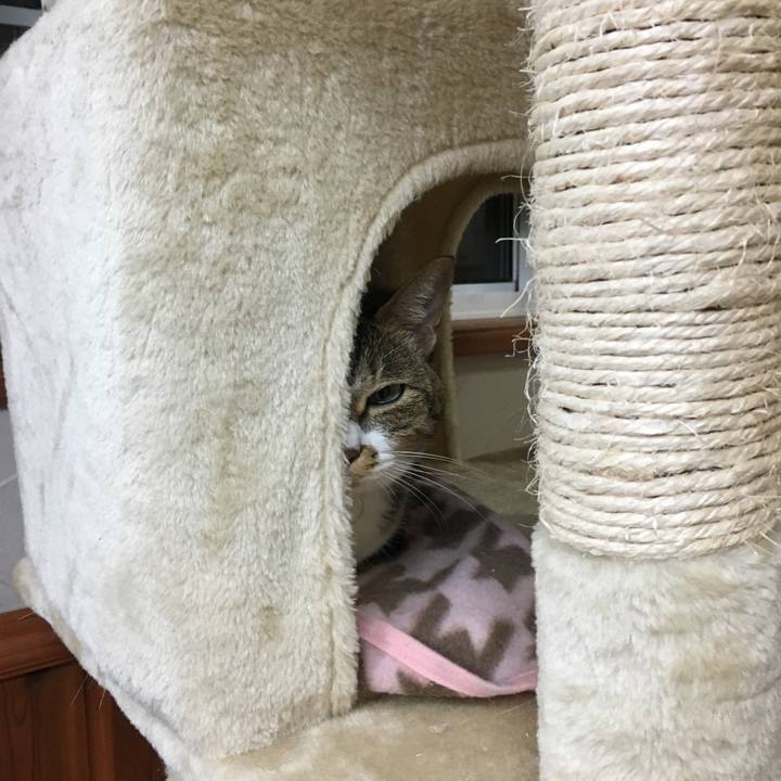 E6645619 7fdf 4109 a047 a92fdfe38e4d 1507898153174