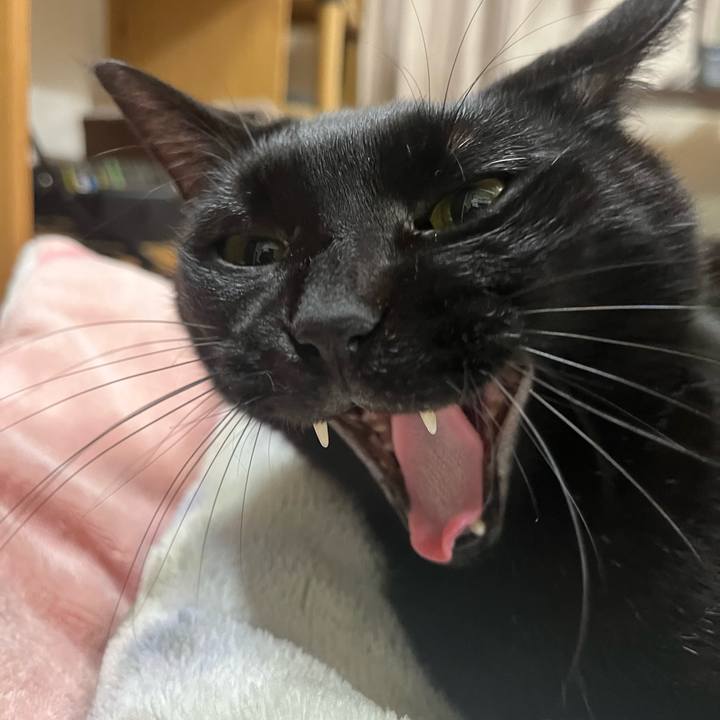 E664a087 763f 4fa9 a707 d1685a8aa814 1708004924945